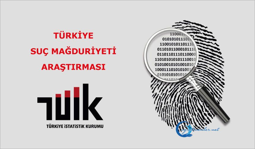 Türkiye Suç Mağduriyeti Araştırması