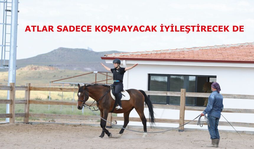 Atlar sadece koşmayacak iyileştirecek de
