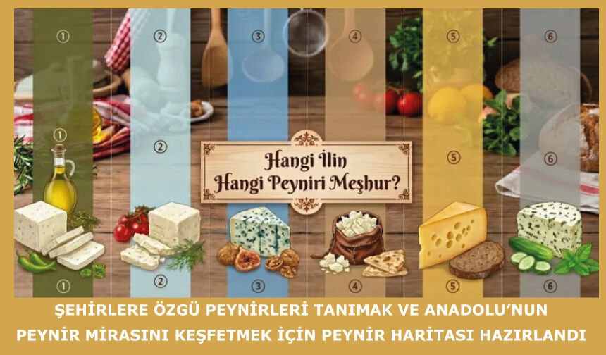 Şehirlere özgü peynirleri tanımak ve Anadolu’nun peynir mirasını keşfetmek için peynir haritası hazırlandı