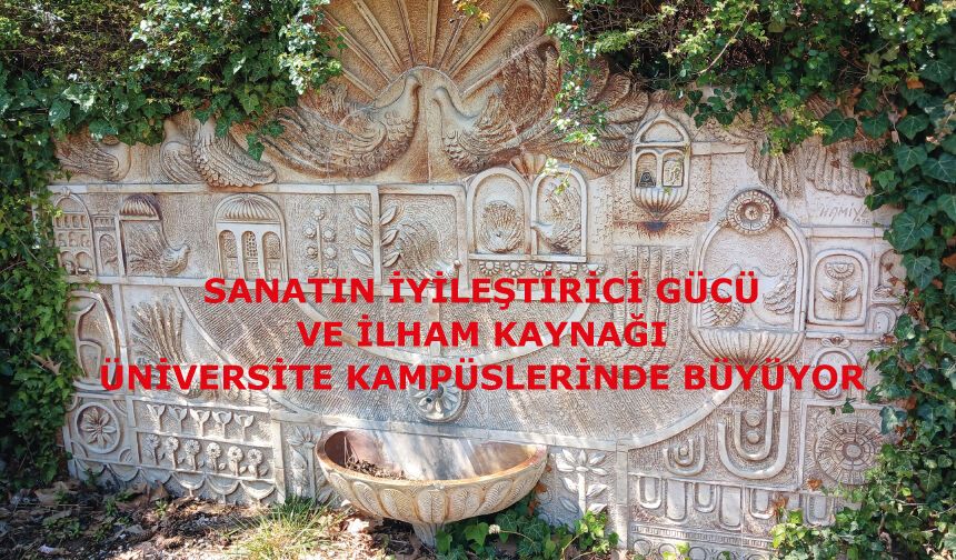 Sanatın iyileştirici gücü ve ilham kaynağı üniversite kampüslerinde büyüyor