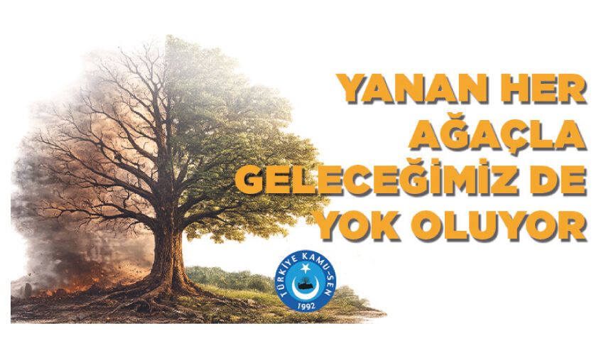 YANAN HER AĞAÇLA GELECEĞİMİZ DE YOK OLUYOR