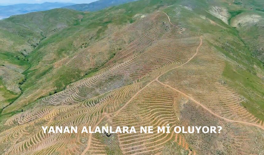 Dikkat! Orman yangınına sebep olmak, cezası olan ciddi bir suçtur