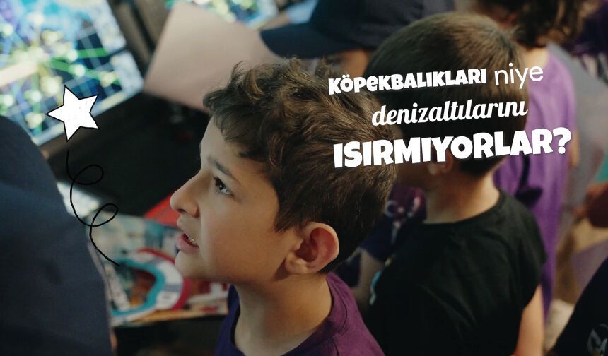Ankara Çankaya İlkokulu 2-F Sınıfı Öğrencileri