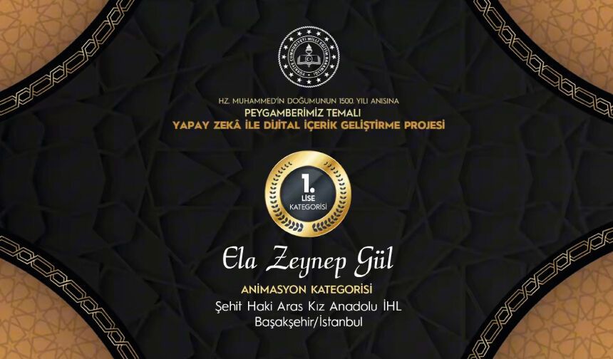 Ela Zeynep Gül, Animasyon Kategorisi'nde Lise Kategorisi 1.'si oldu