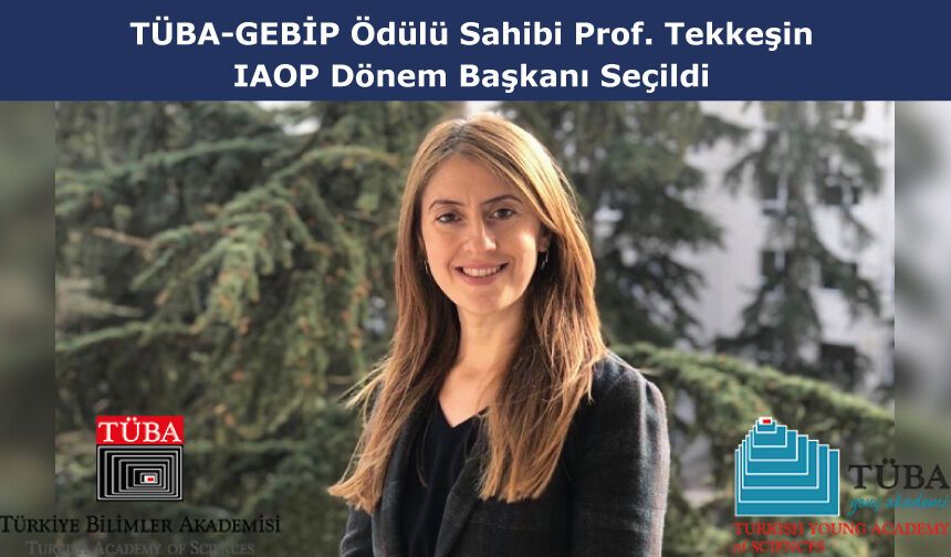 TÜBA-GEBİP Ödülü Sahibi Prof. Tekkeşin, IAOP Dönem Başkanı Seçildi