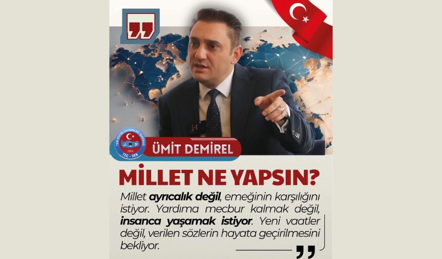 MİLLET NE YAPSIN?