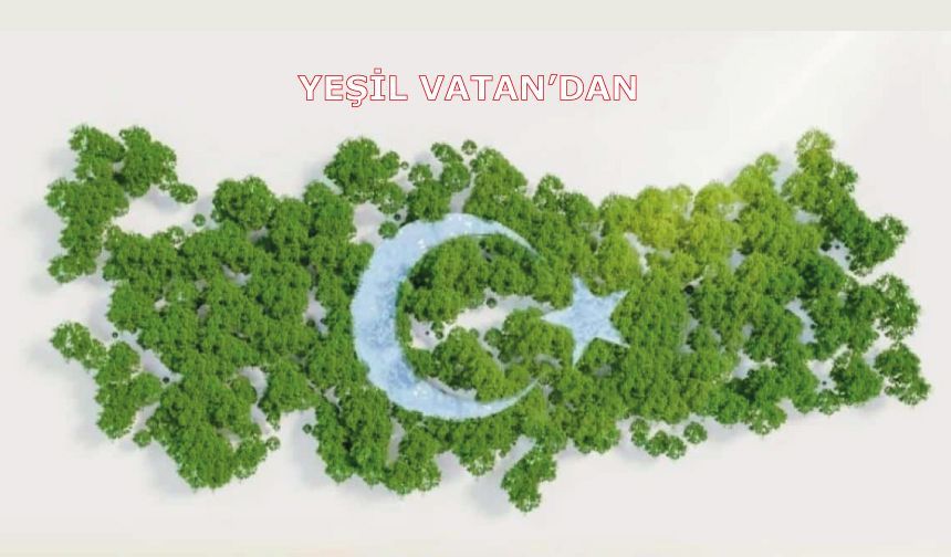 Yeşil Vatandan