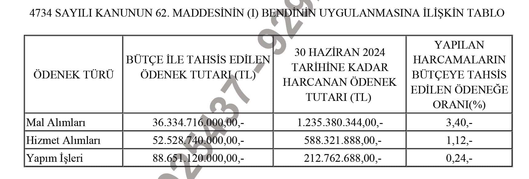 30100000 Haziran