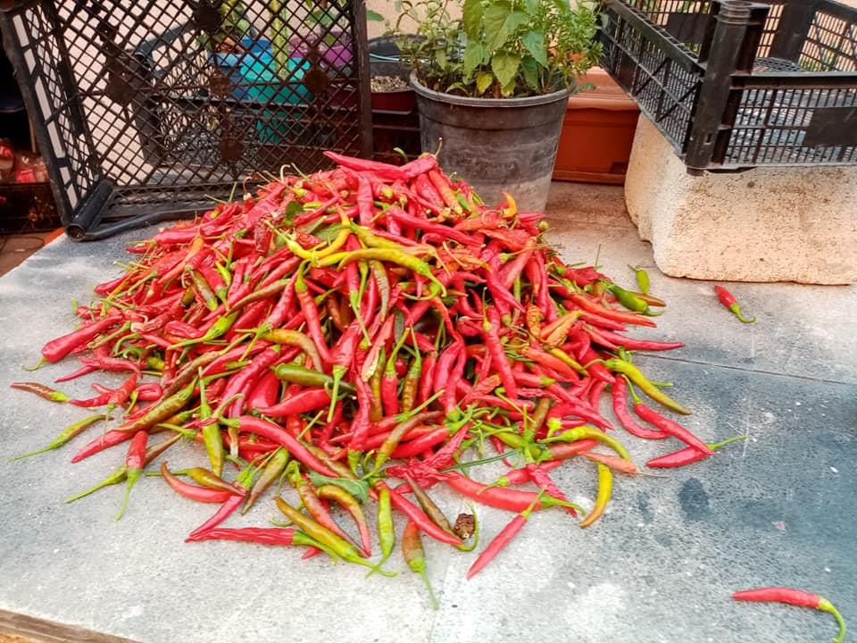 118580339 3667678336592931 7335364111204645237 N (Copy)