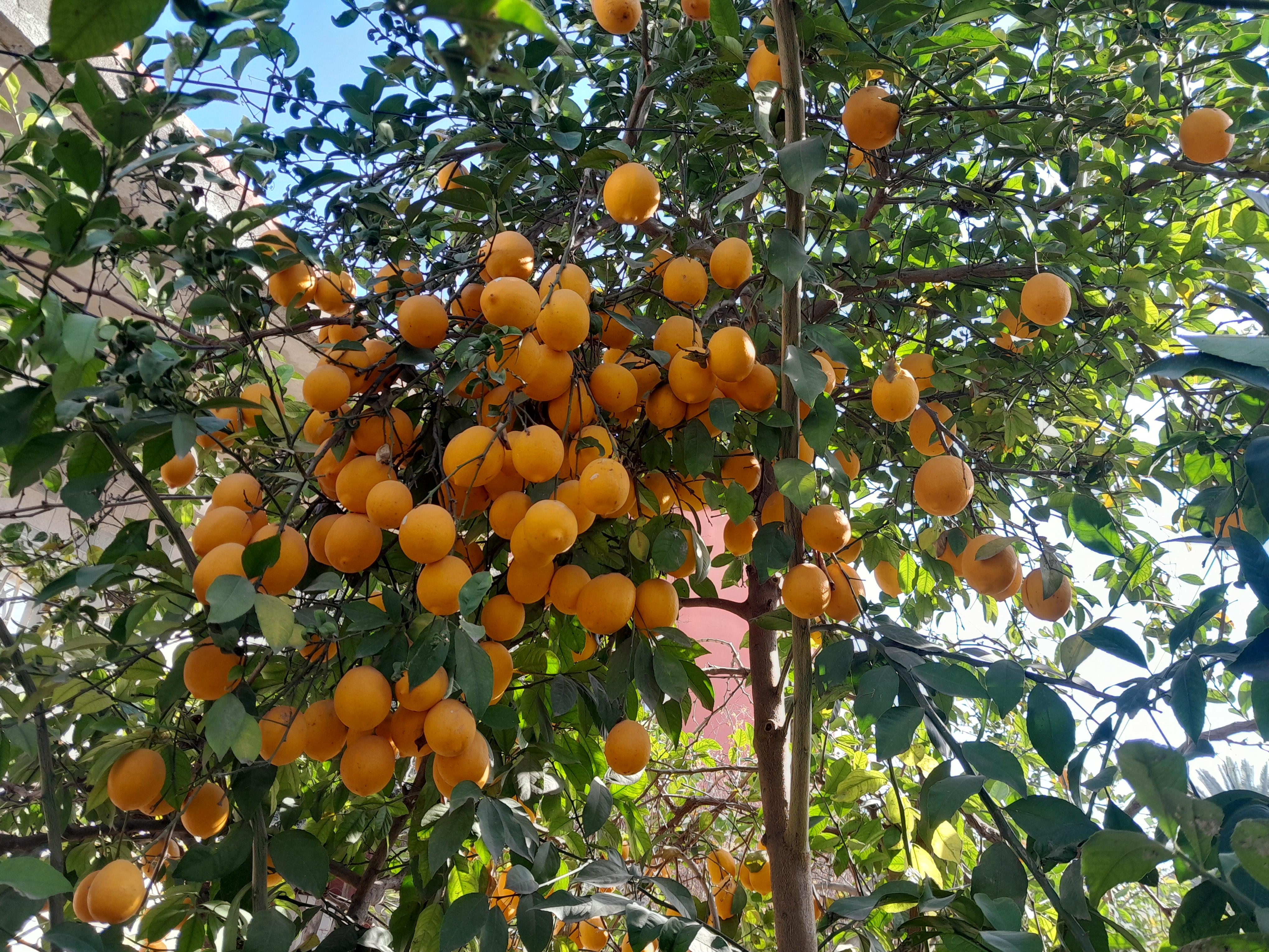 20250108 124258 (Copy)