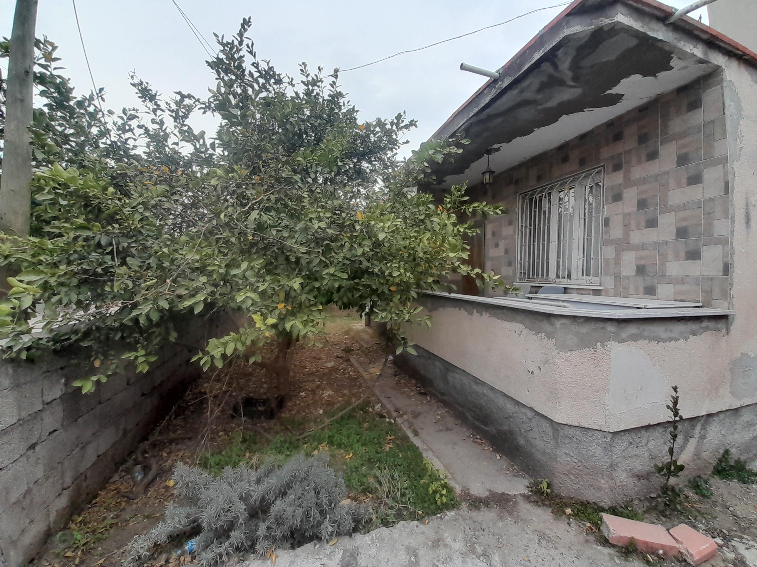 20250212 155727 (Copy)