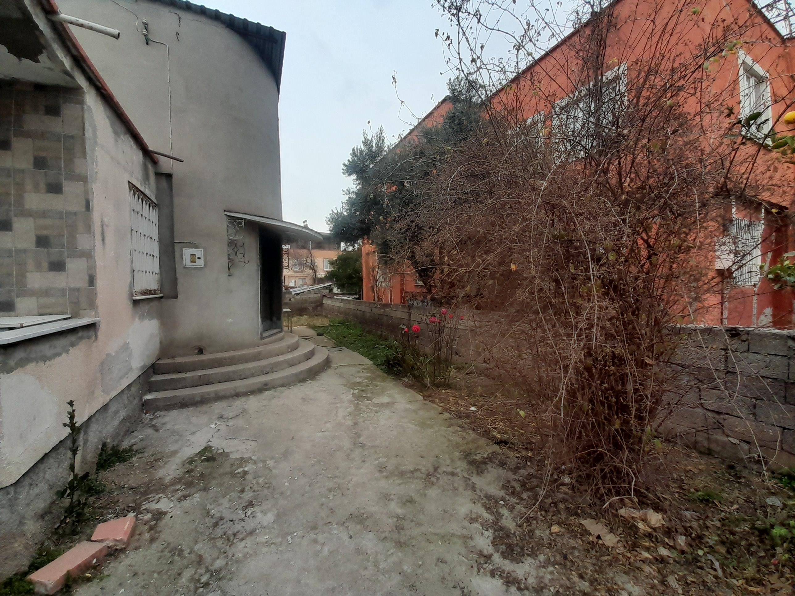 20250212 155735 (Copy)