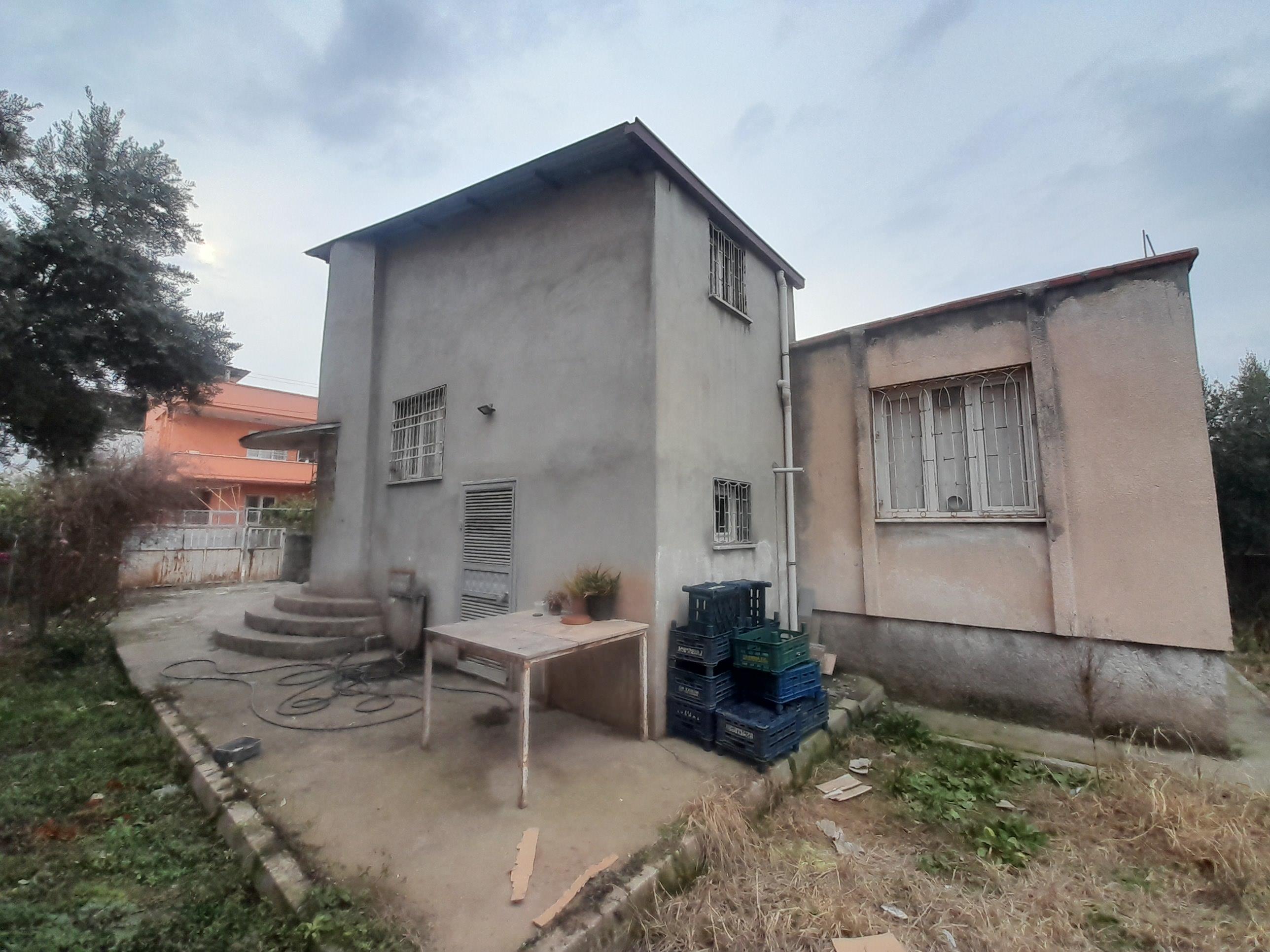 20250212 155805 (Copy)