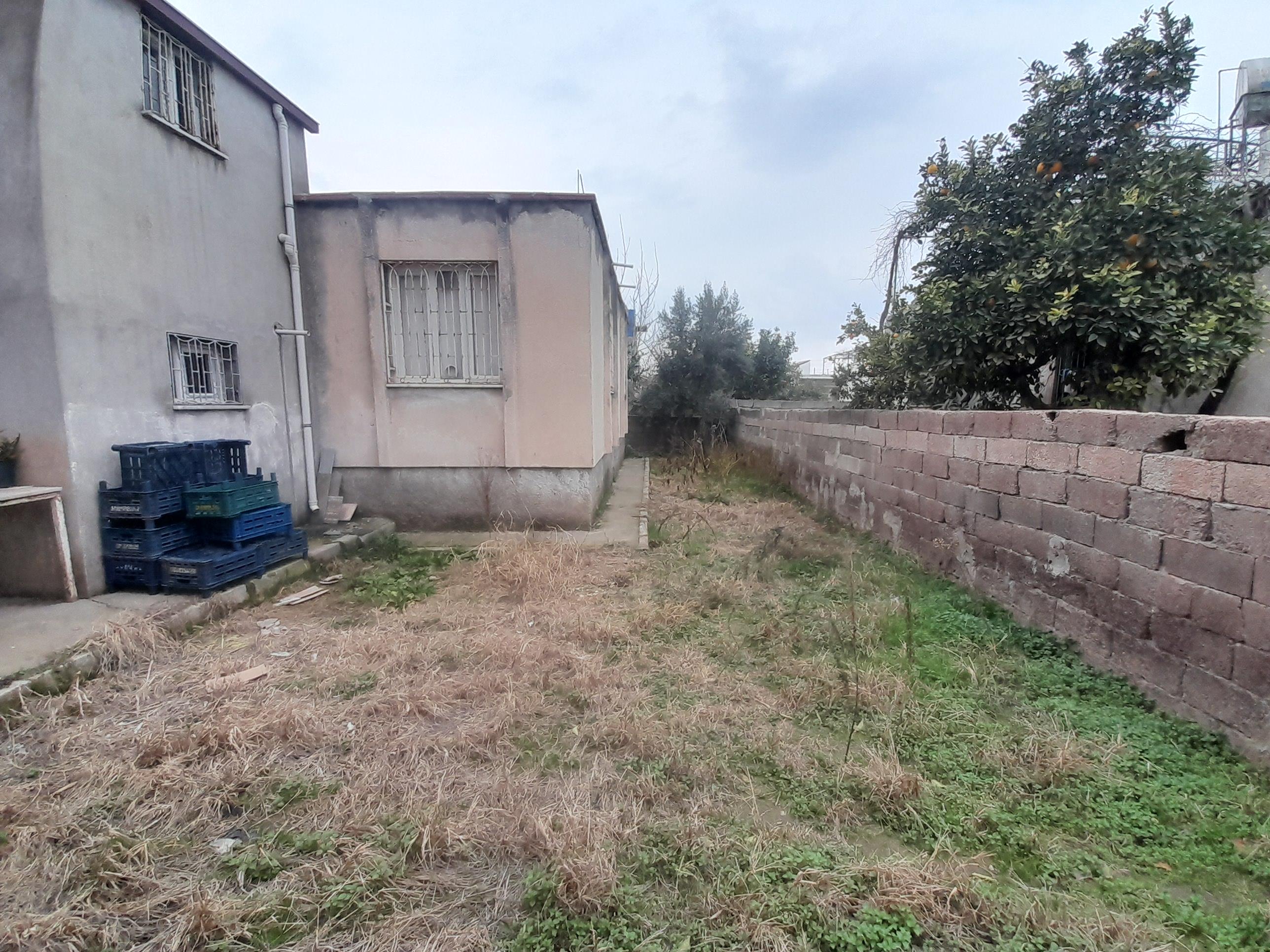 20250212 155816 (Copy)