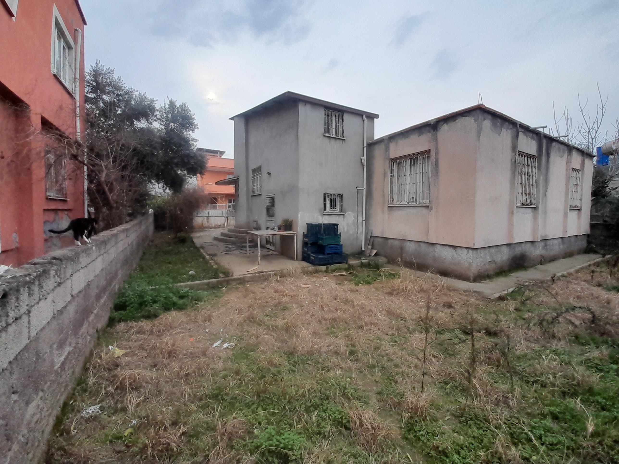 20250212 155825 (Copy)