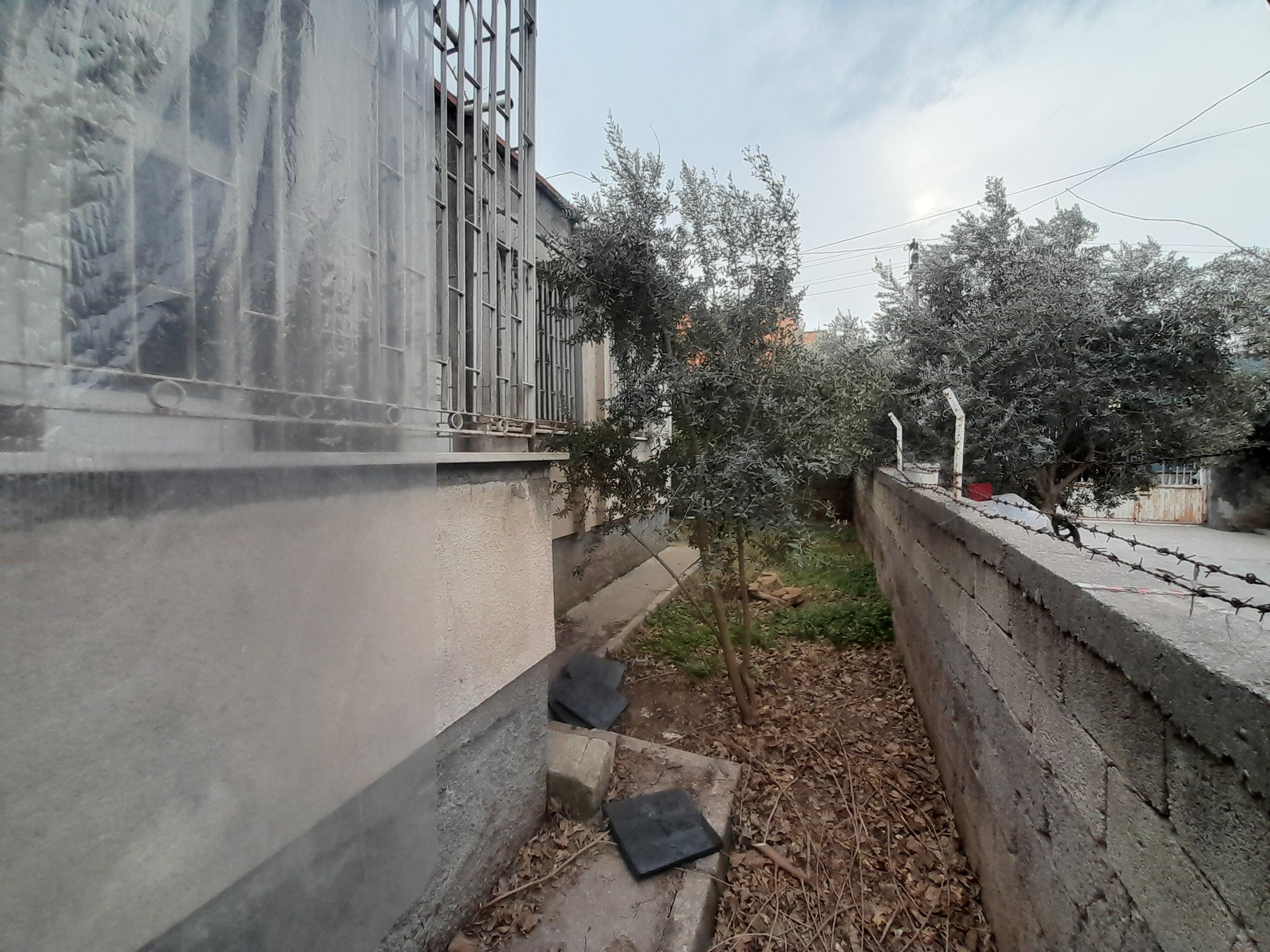 20250212 155854 (Copy)