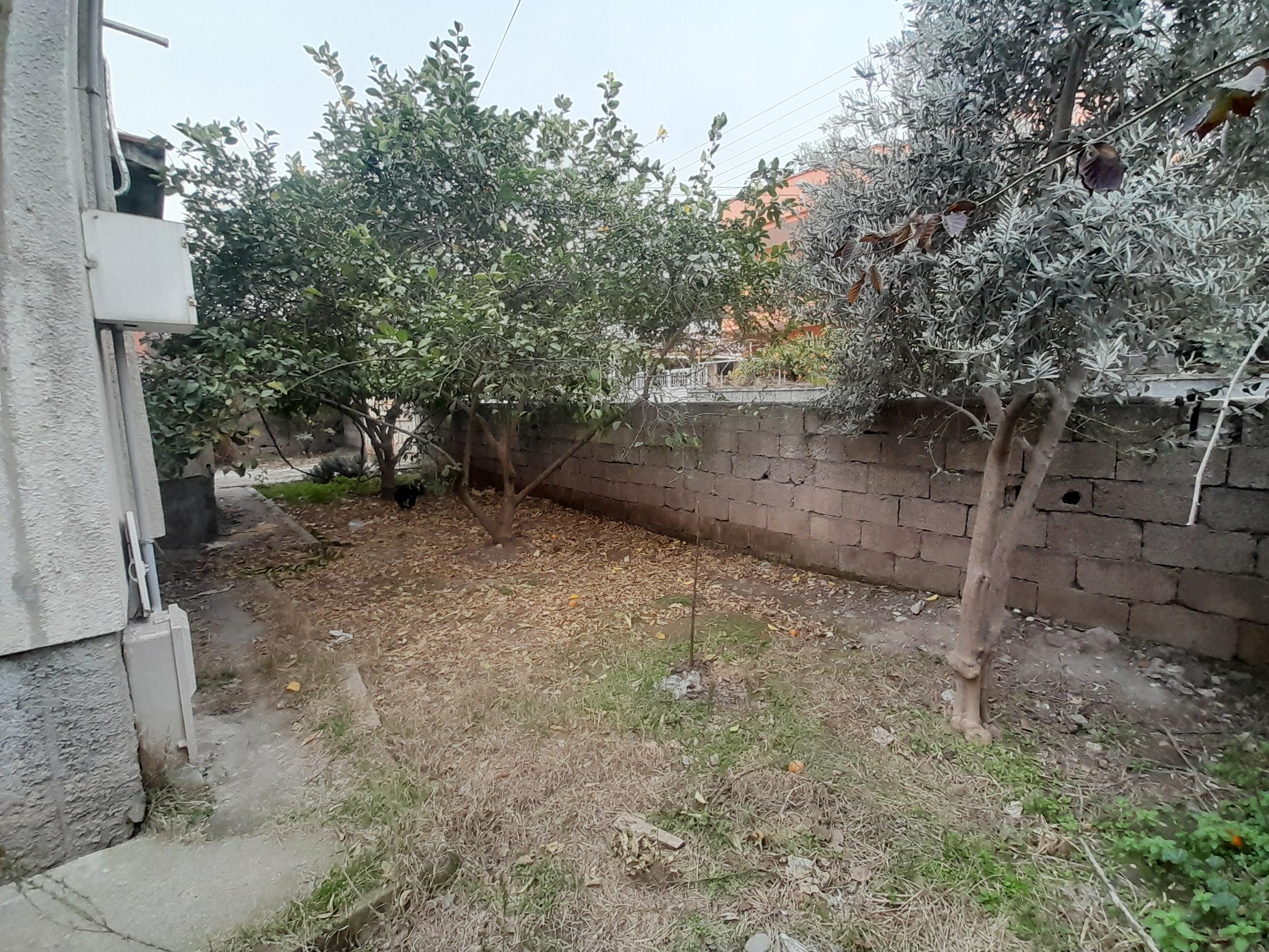 20250212 155927 (Copy)