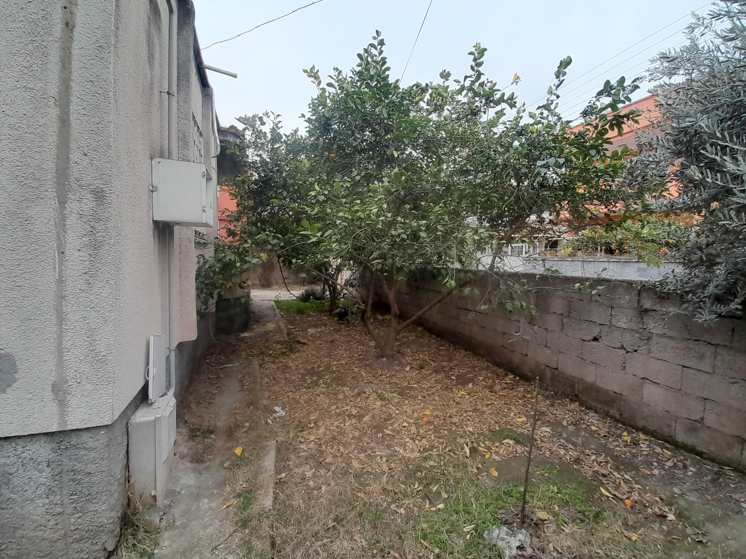 20250212 155931 (Copy)