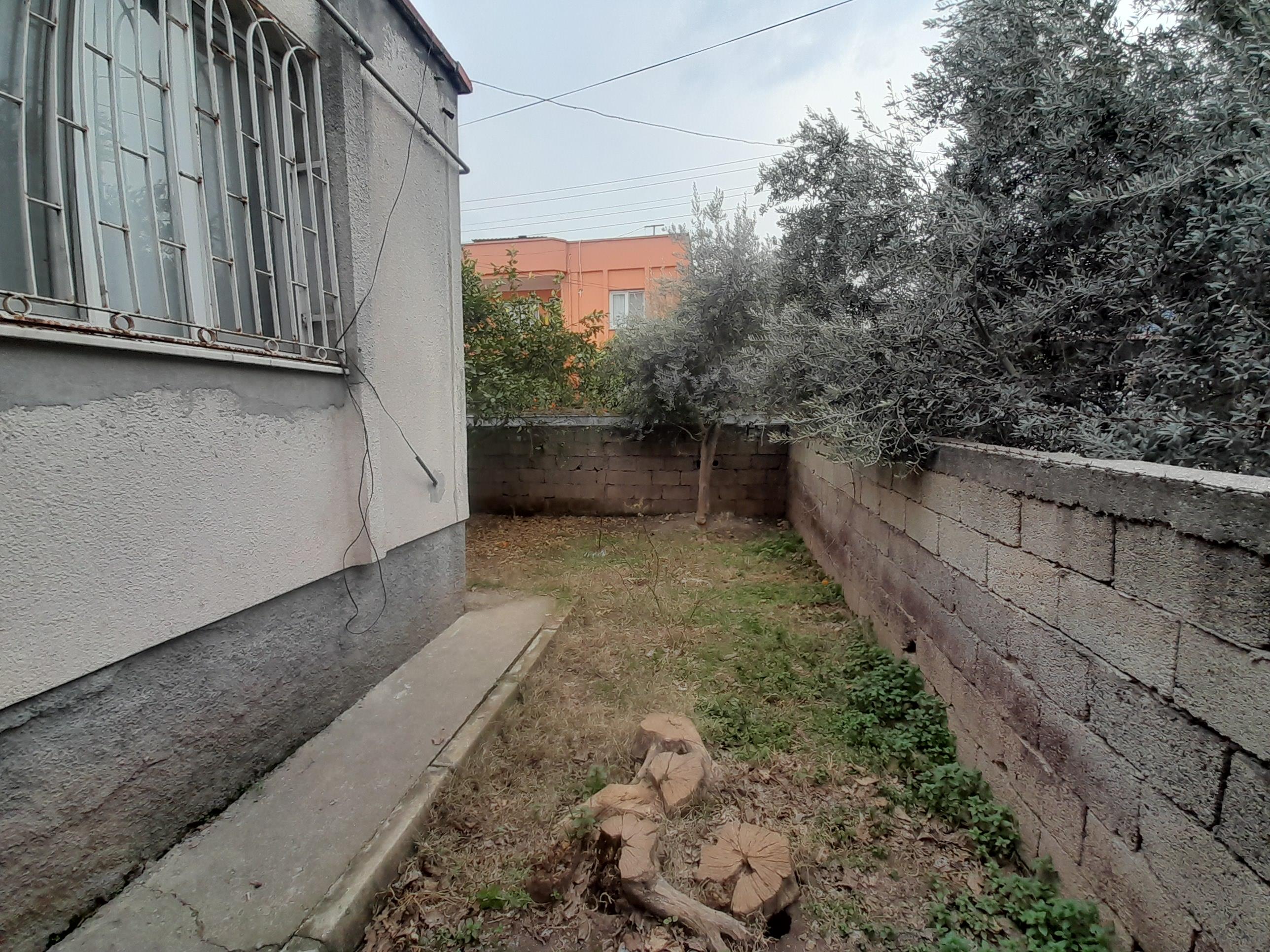 20250212 155953 (Copy)