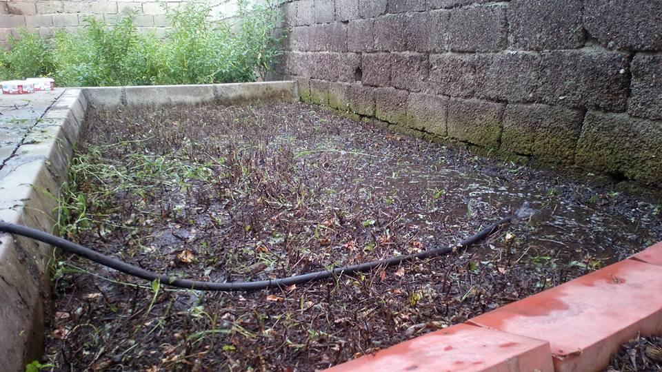 465210653 9179857235374986 1790586197858045593 N (Copy)