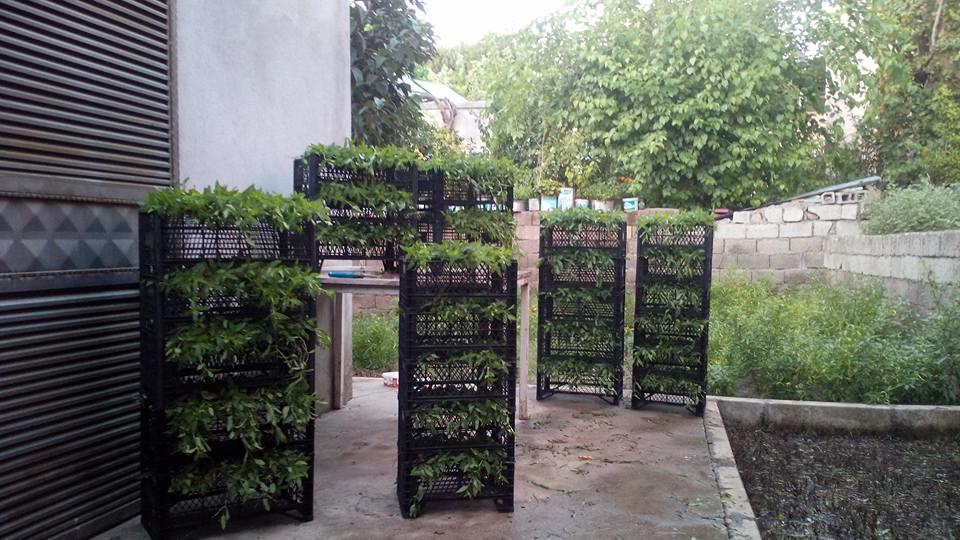 465415719 9179857228708320 993456932750081416 N (Copy)