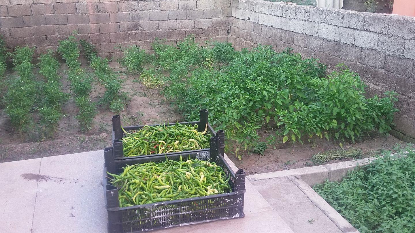 465795682 9205979402762769 6193008335029569563 N (Copy)