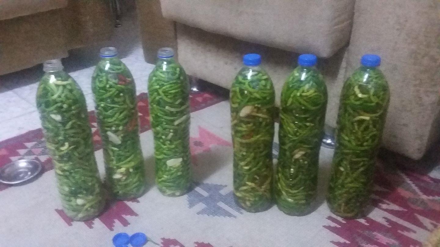 465799403 9205987456095297 3015389947195318546 N (Copy)