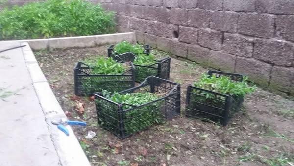 465818157 9206378632722846 176352292067516778 N (Copy)