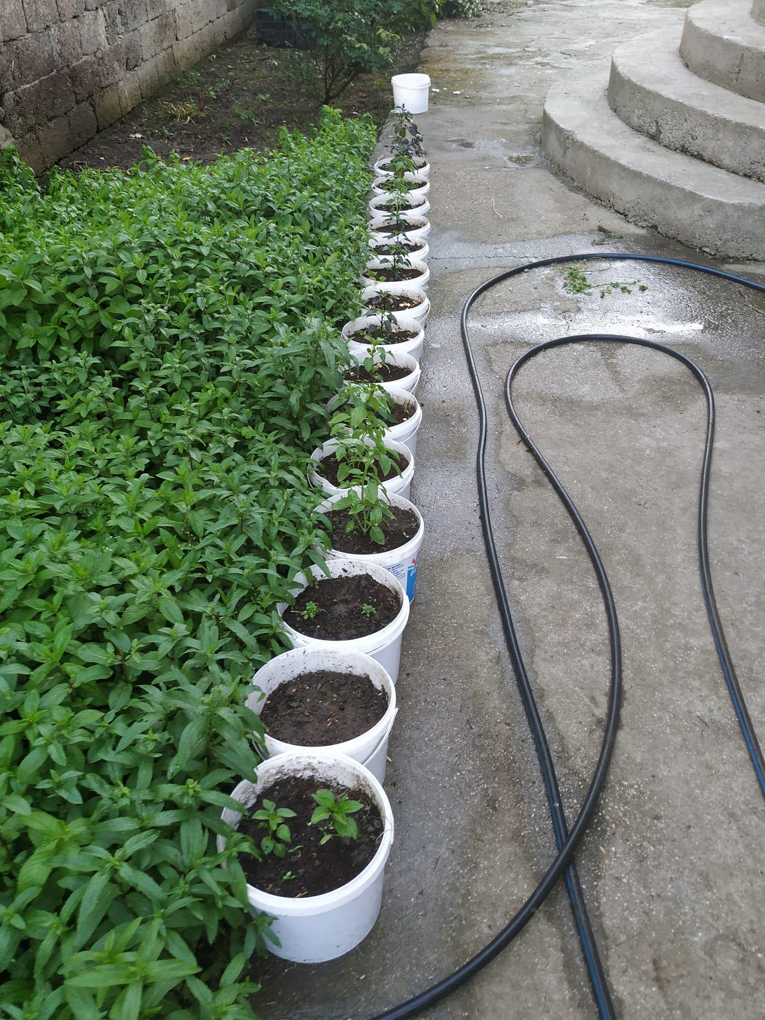 485404243 10004621646231870 3765795195708160503 N (Copy)