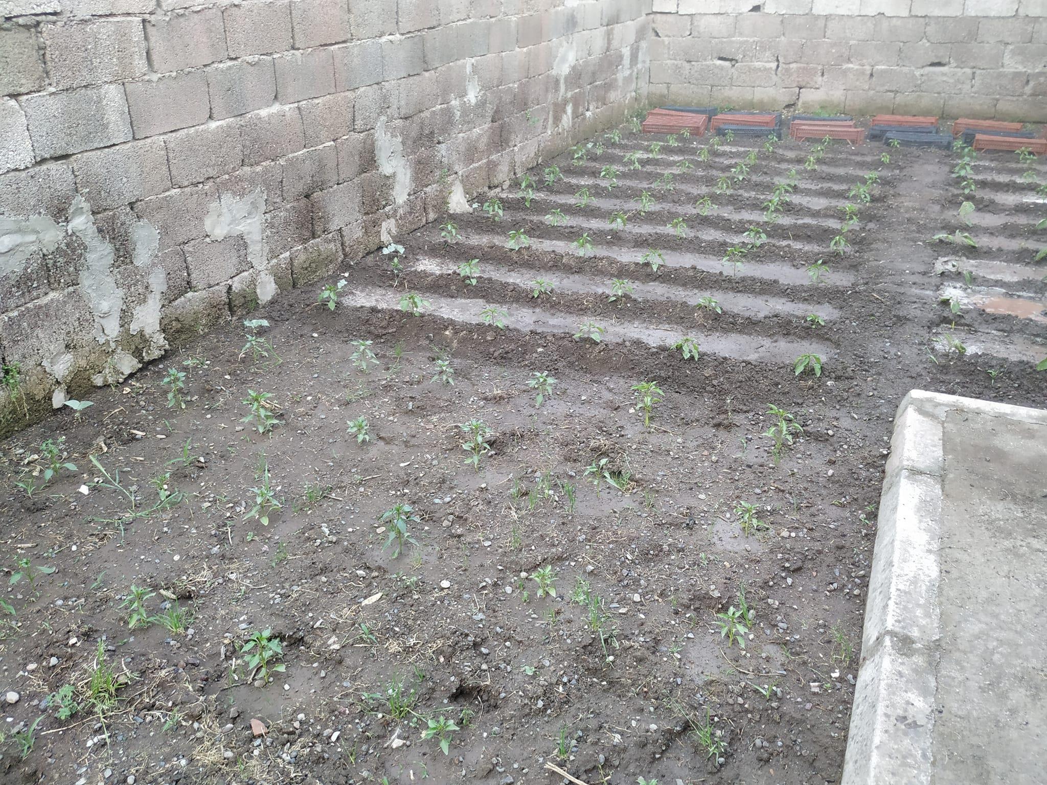 486025076 10004620372898664 1157995179685715103 N (Copy)