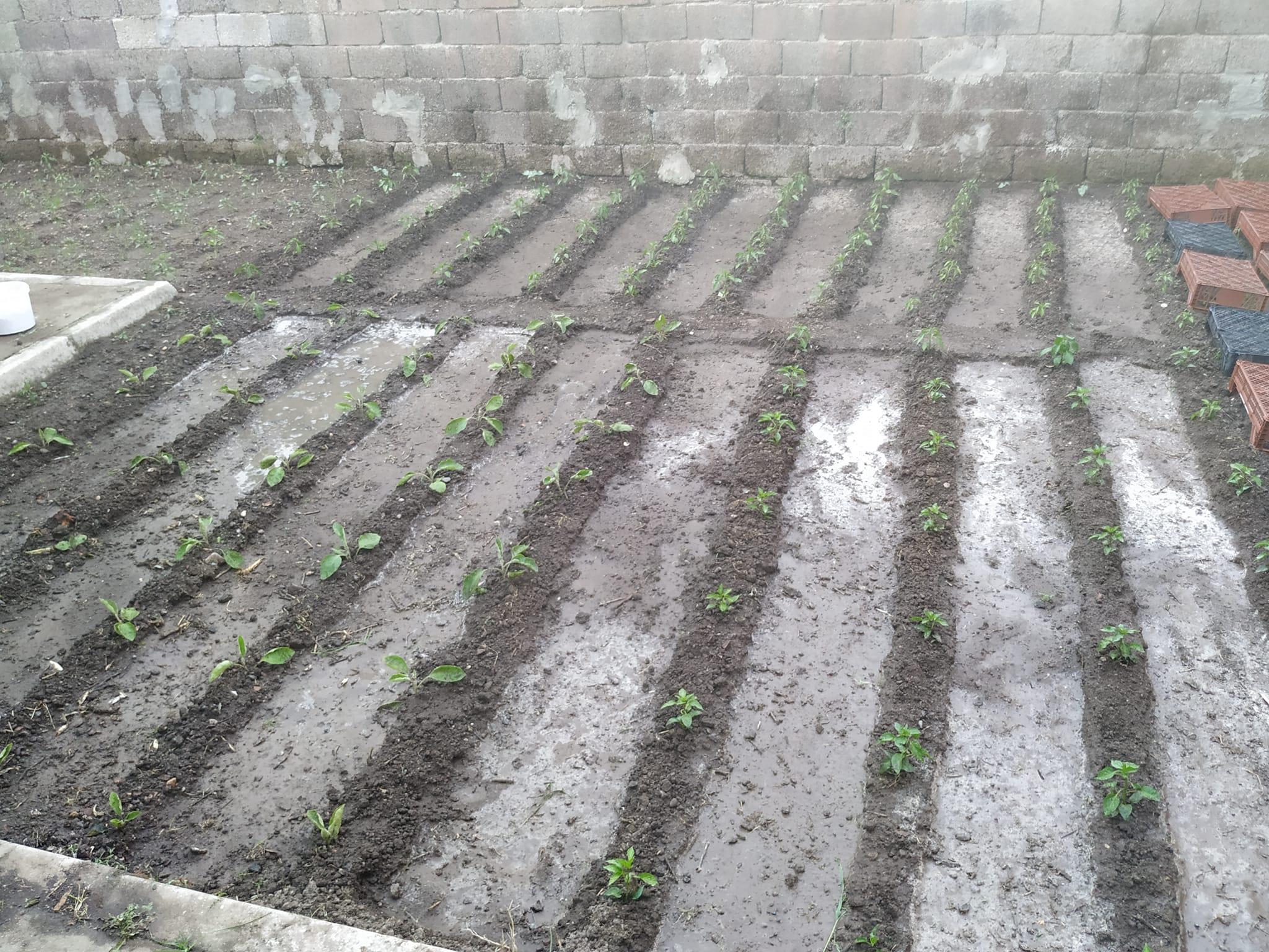 486339609 10004621586231876 218103127810537098 N (Copy)