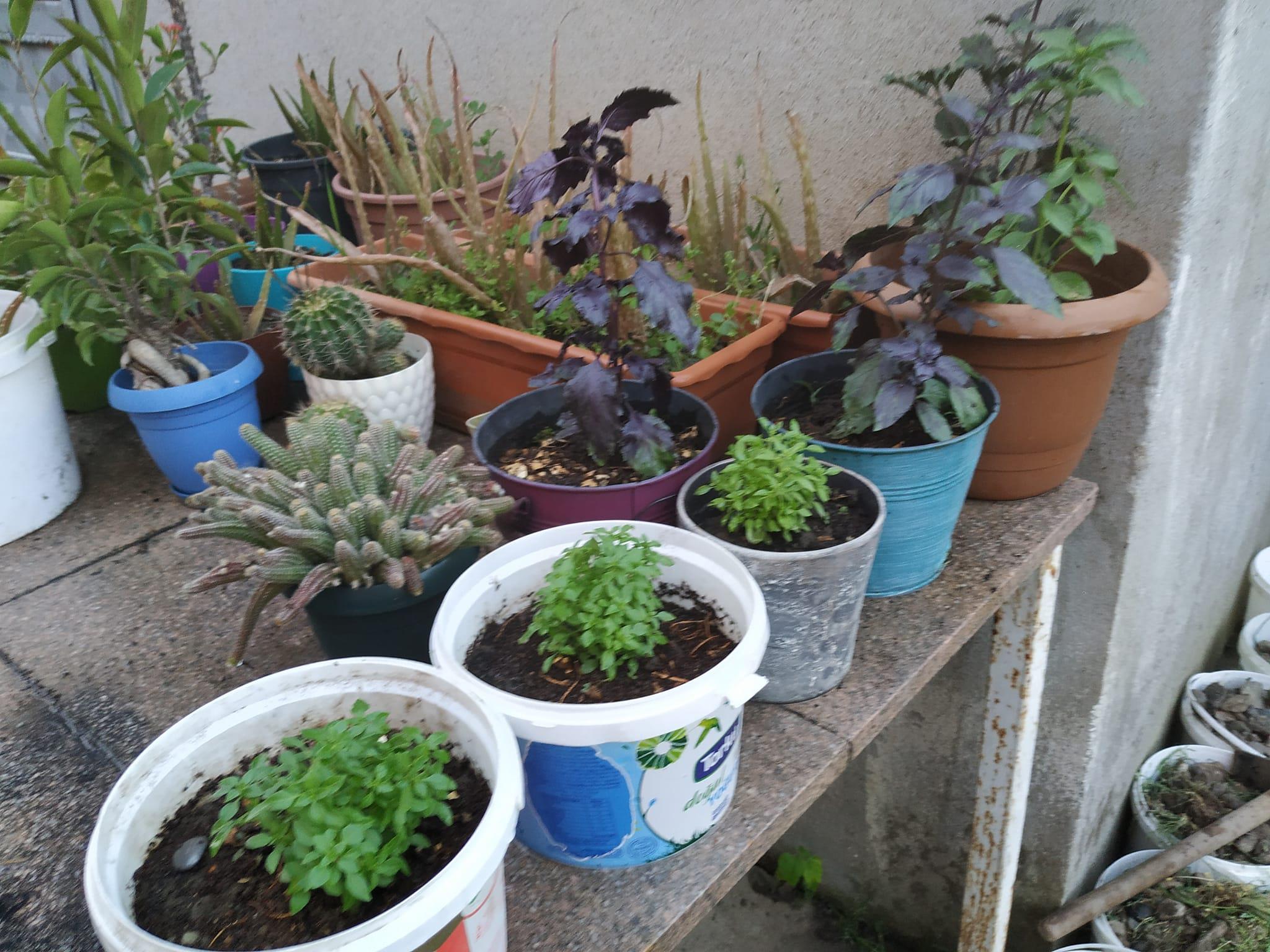 486536186 10004621739565194 774958965410887773 N (Copy)