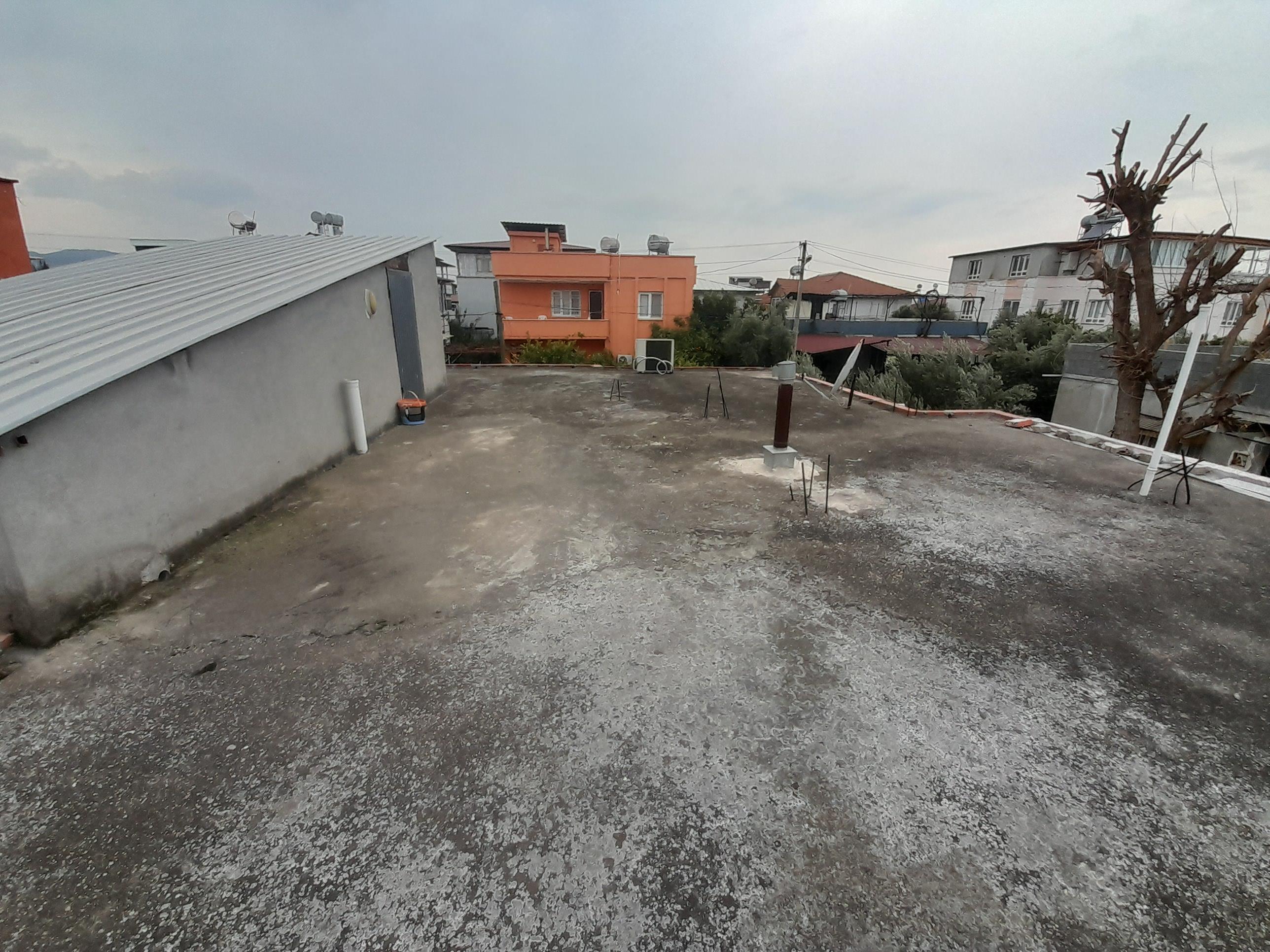 20250212 160451 (Copy)