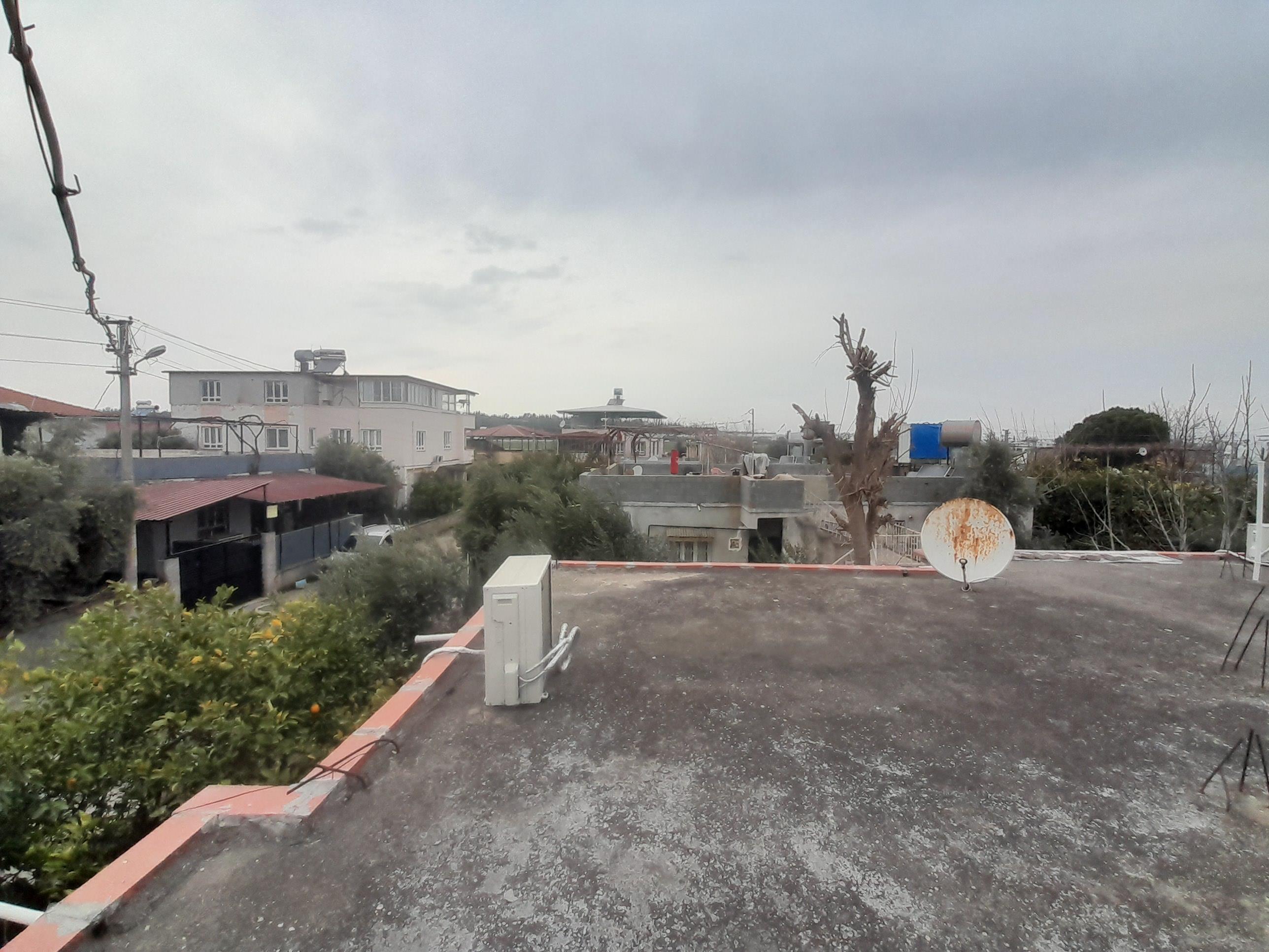 20250212 162651 (Copy)