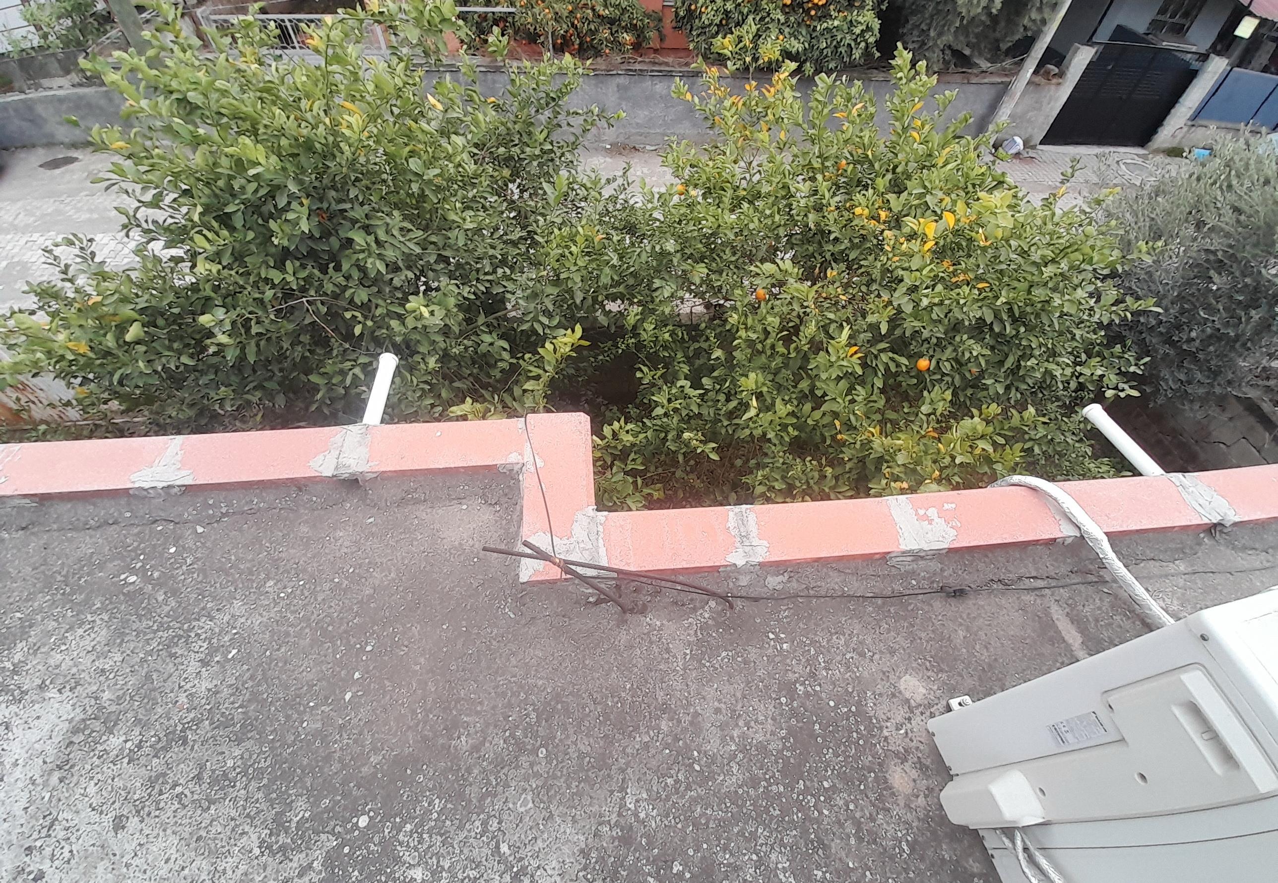 20250212 162728 (Copy)