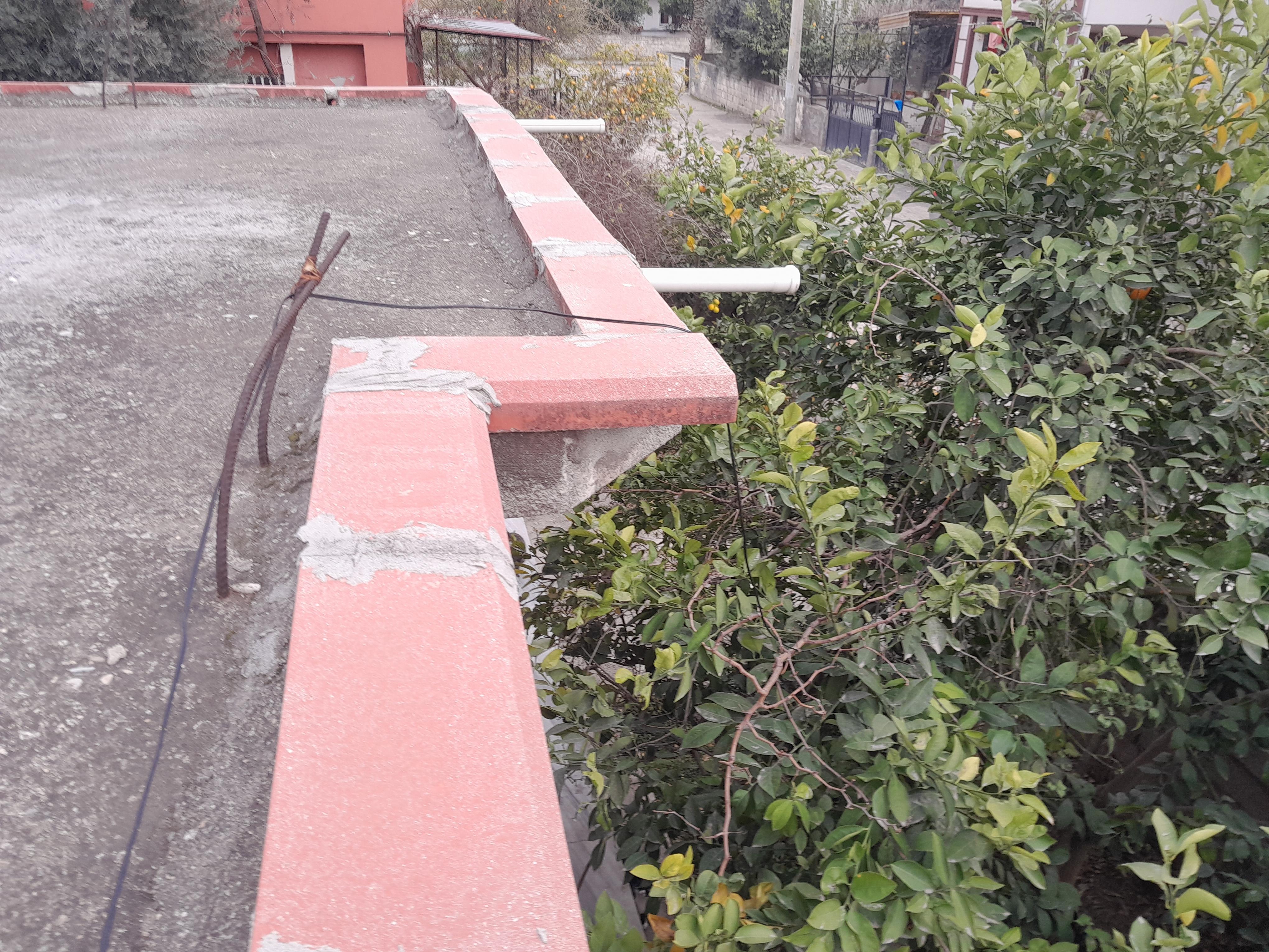 20250212 162801 (Copy)