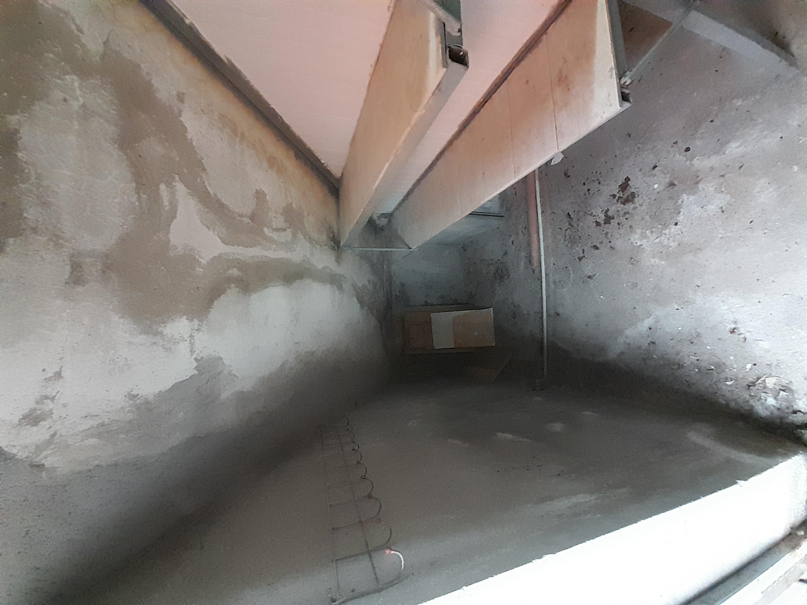 20250219 164333 (Copy)