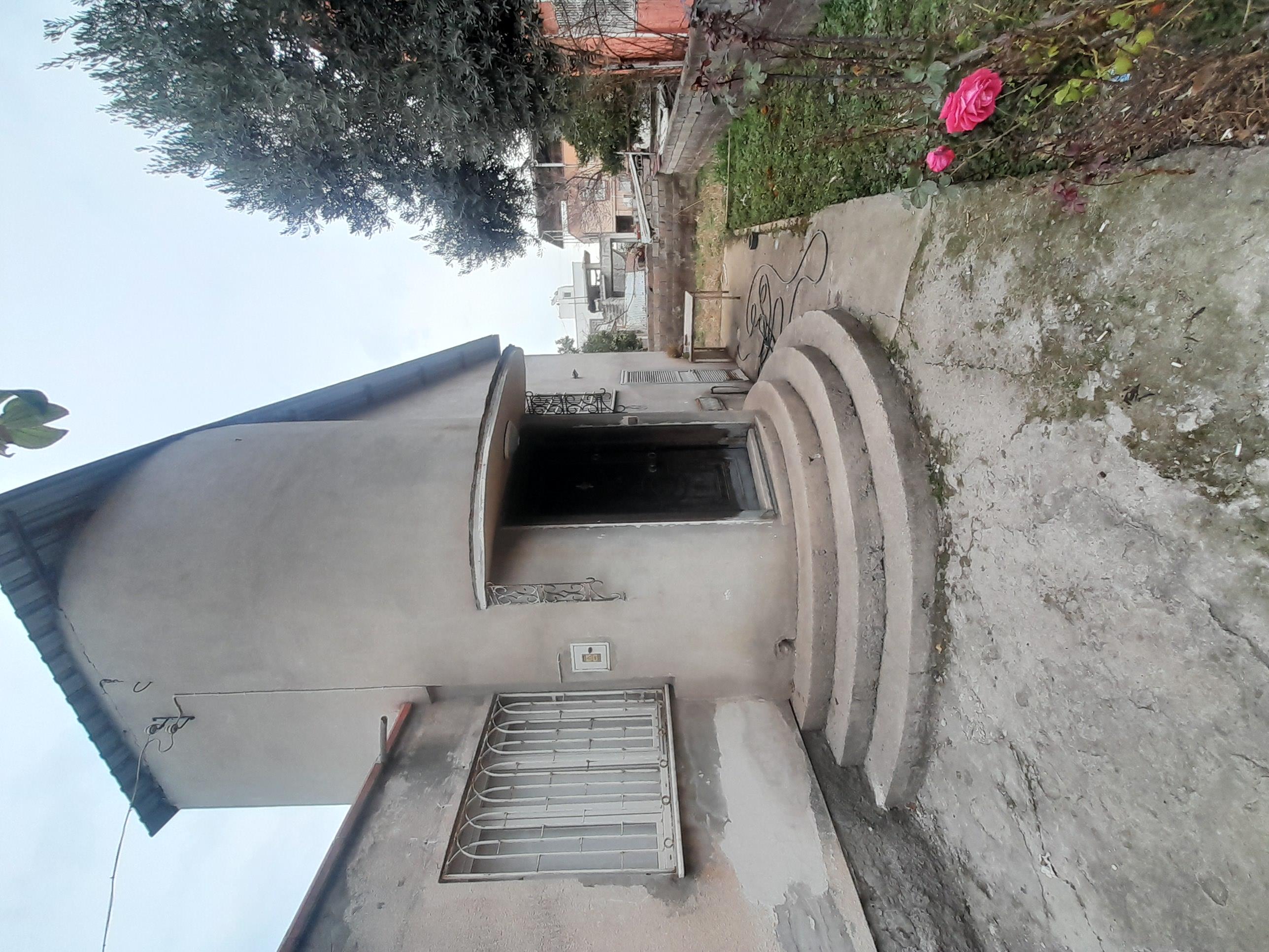 20250212 155644 (Copy)