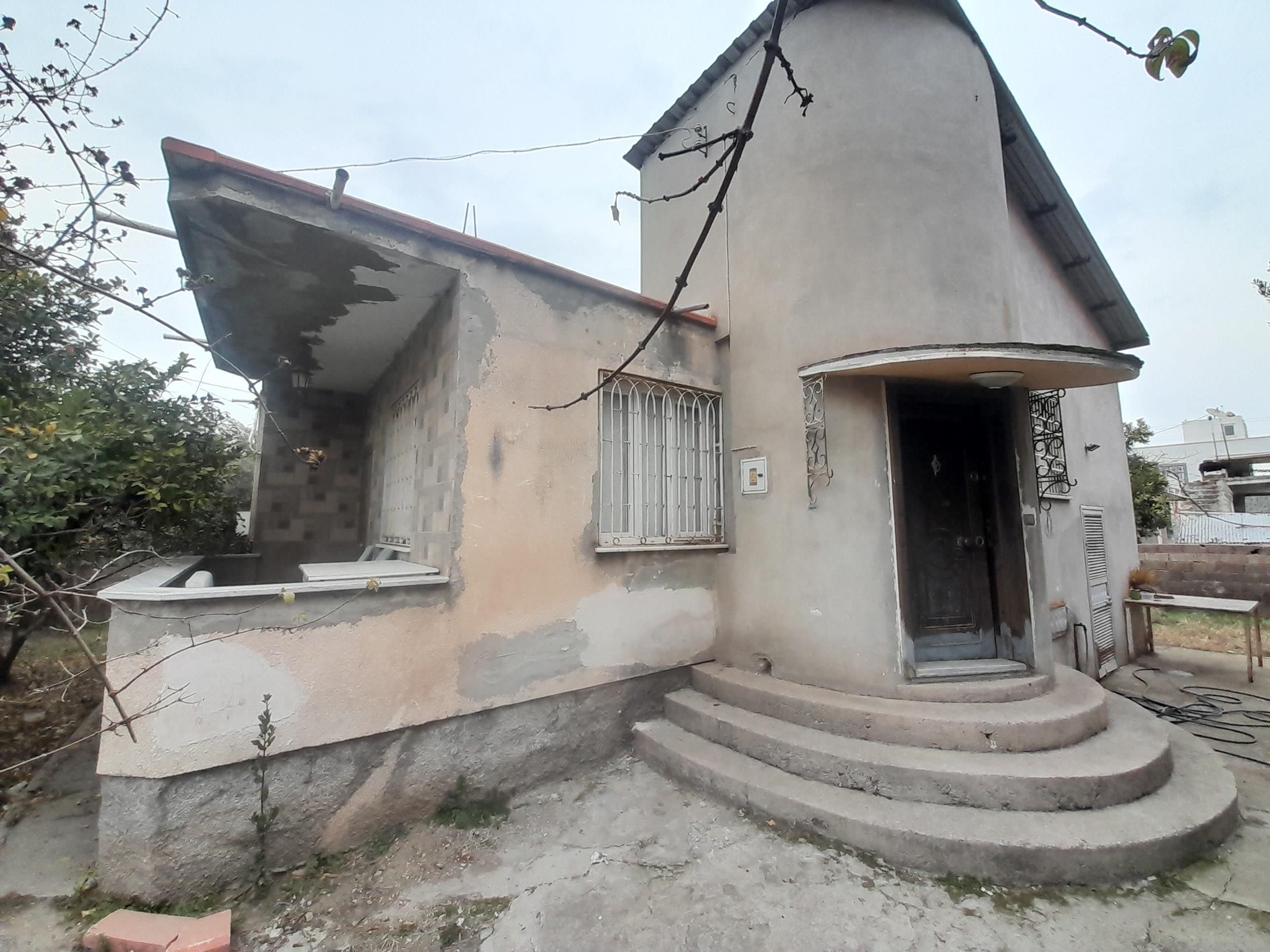 20250212 155657 (Copy)