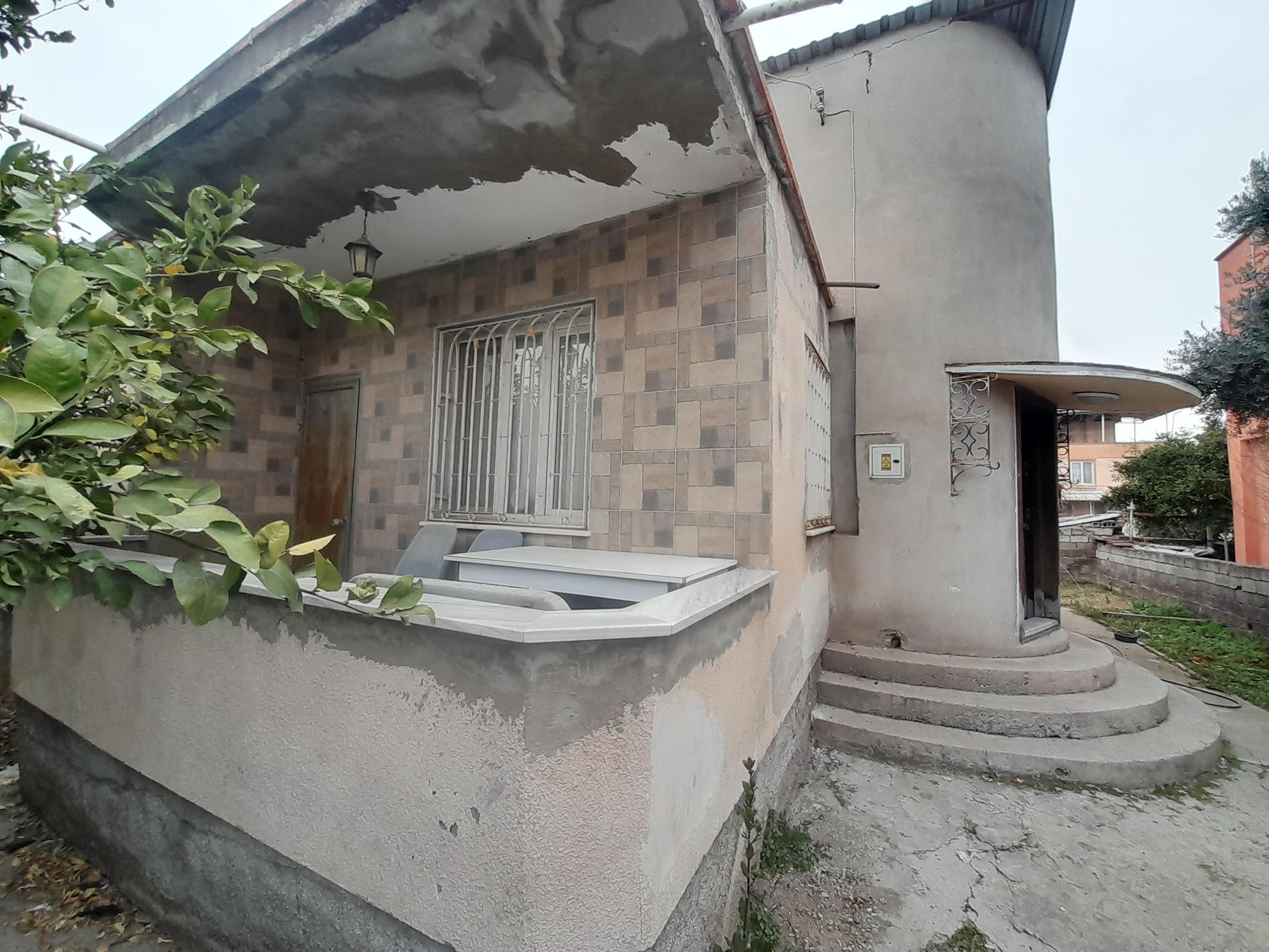 20250212 155710 (Copy)