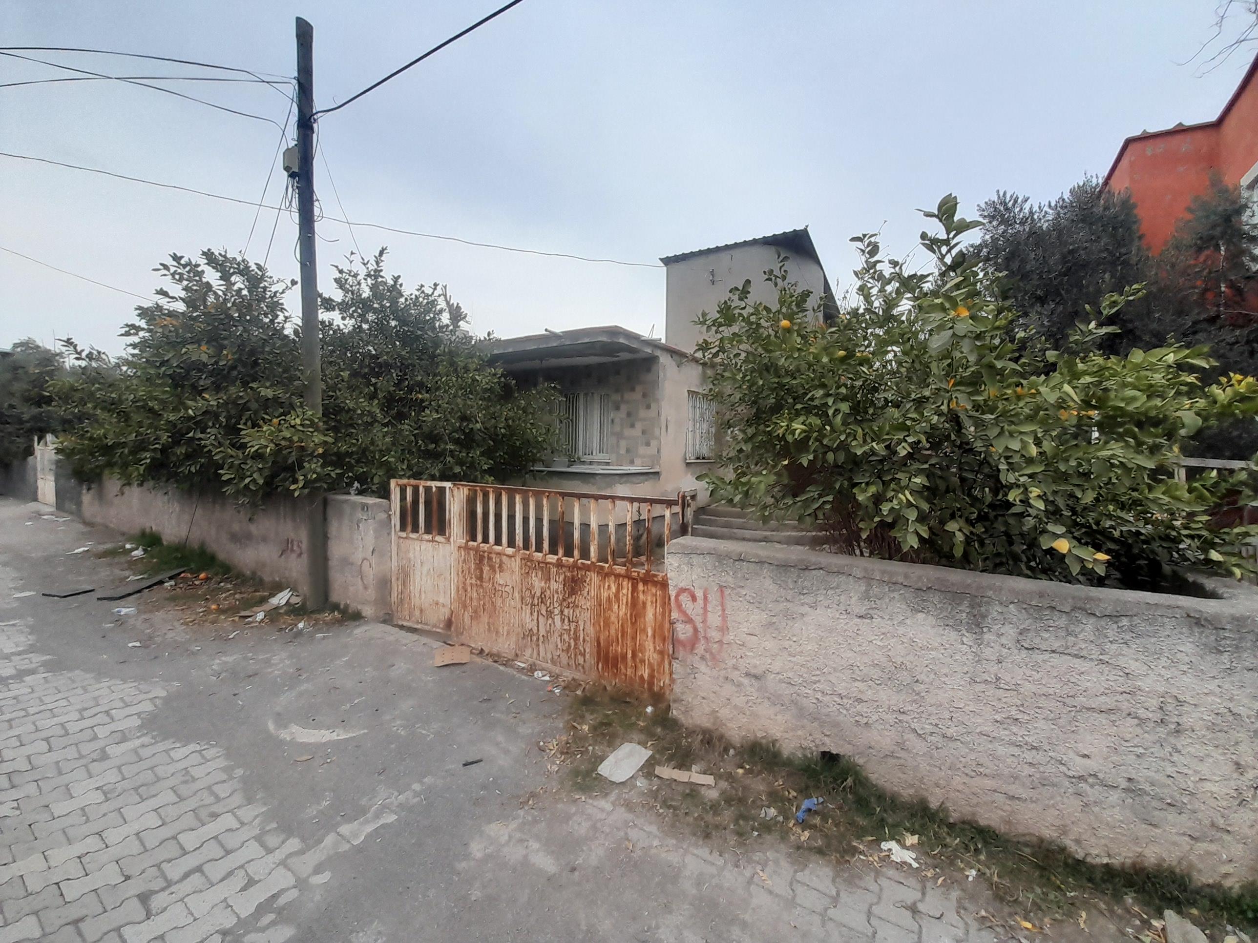 20250212 162533 (Copy)