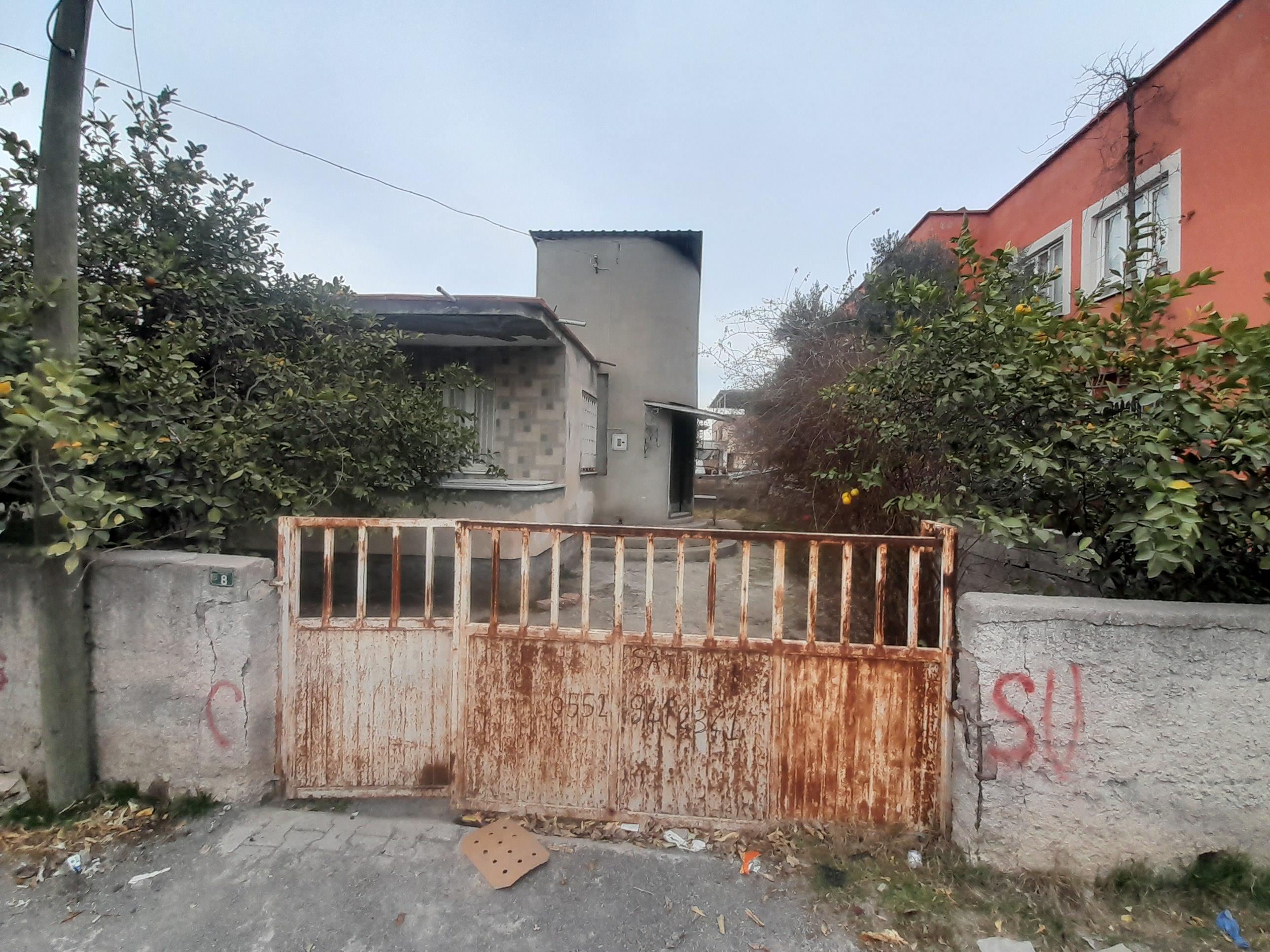 20250212 162543 (Copy)