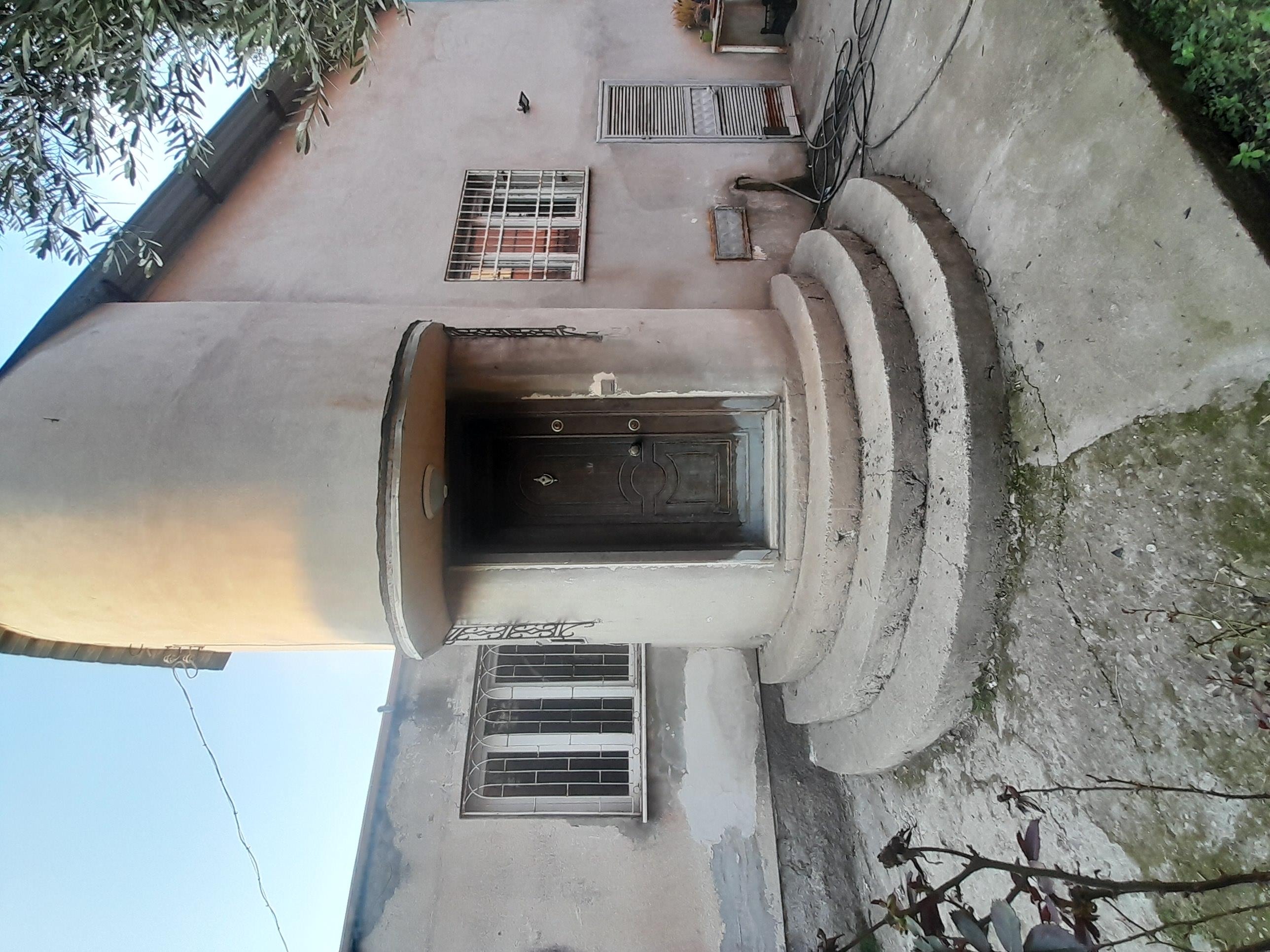 20250216 171305 (Copy)