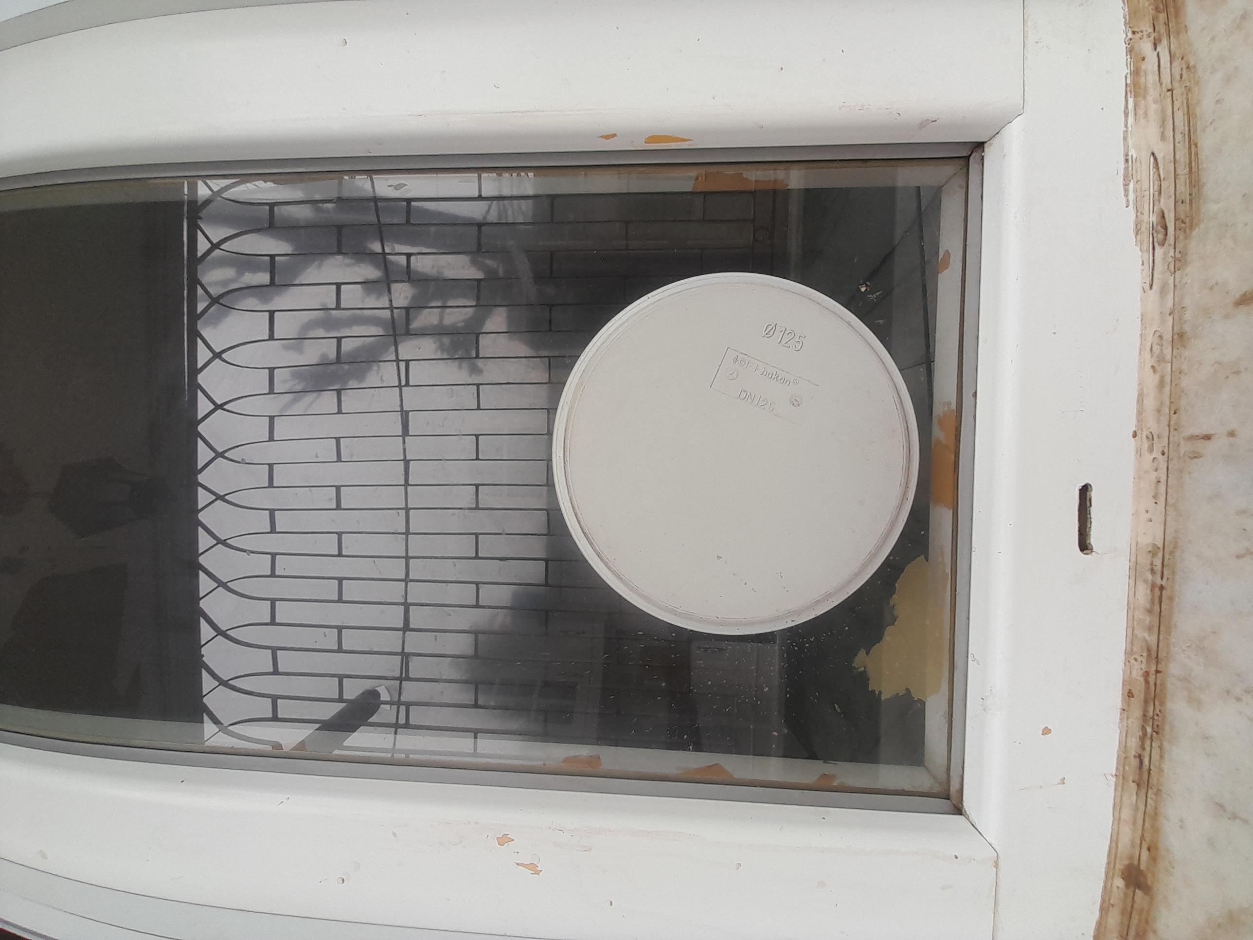 20250210 145527 (Copy)