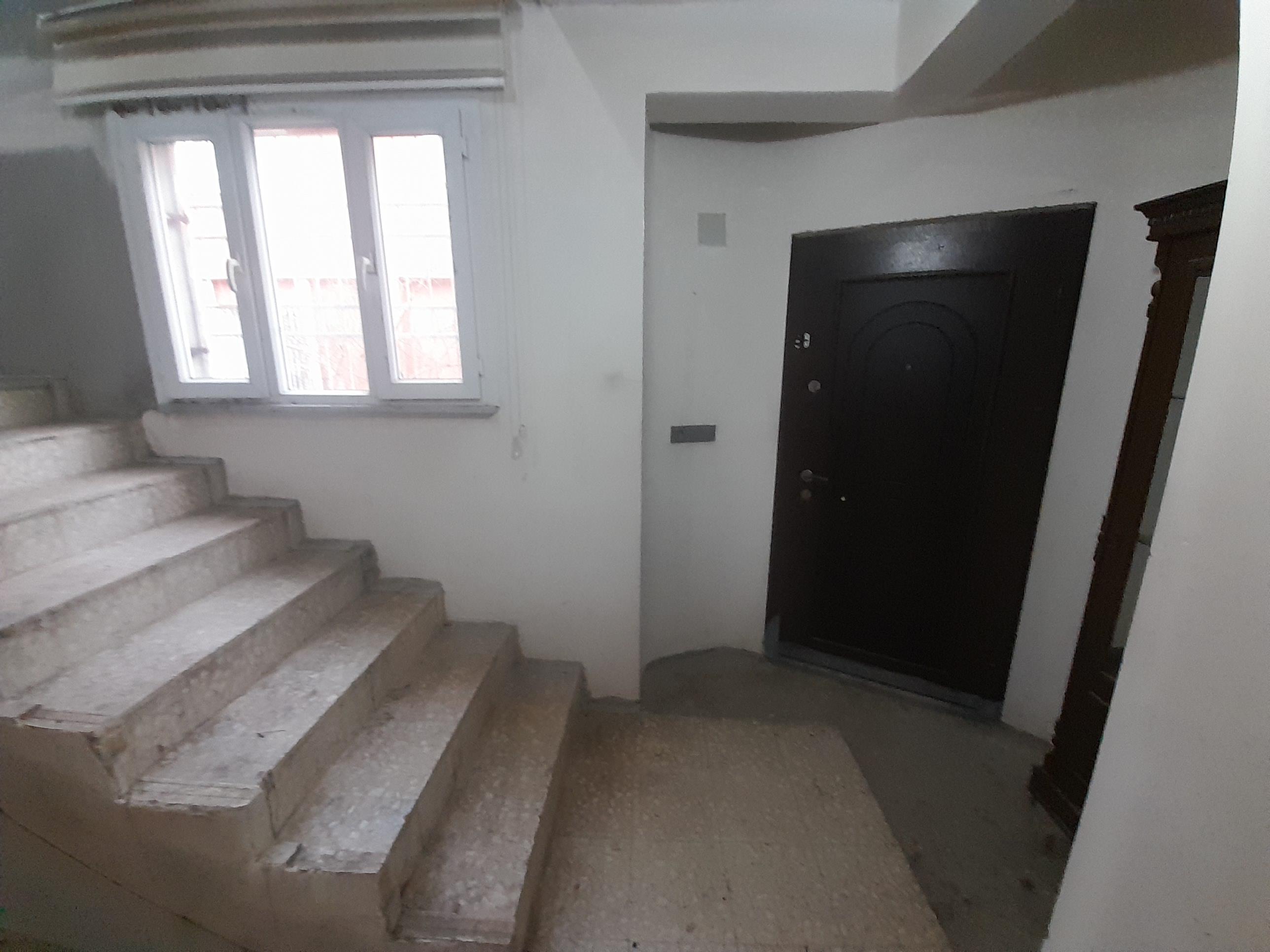 20250219 164301 (Copy)