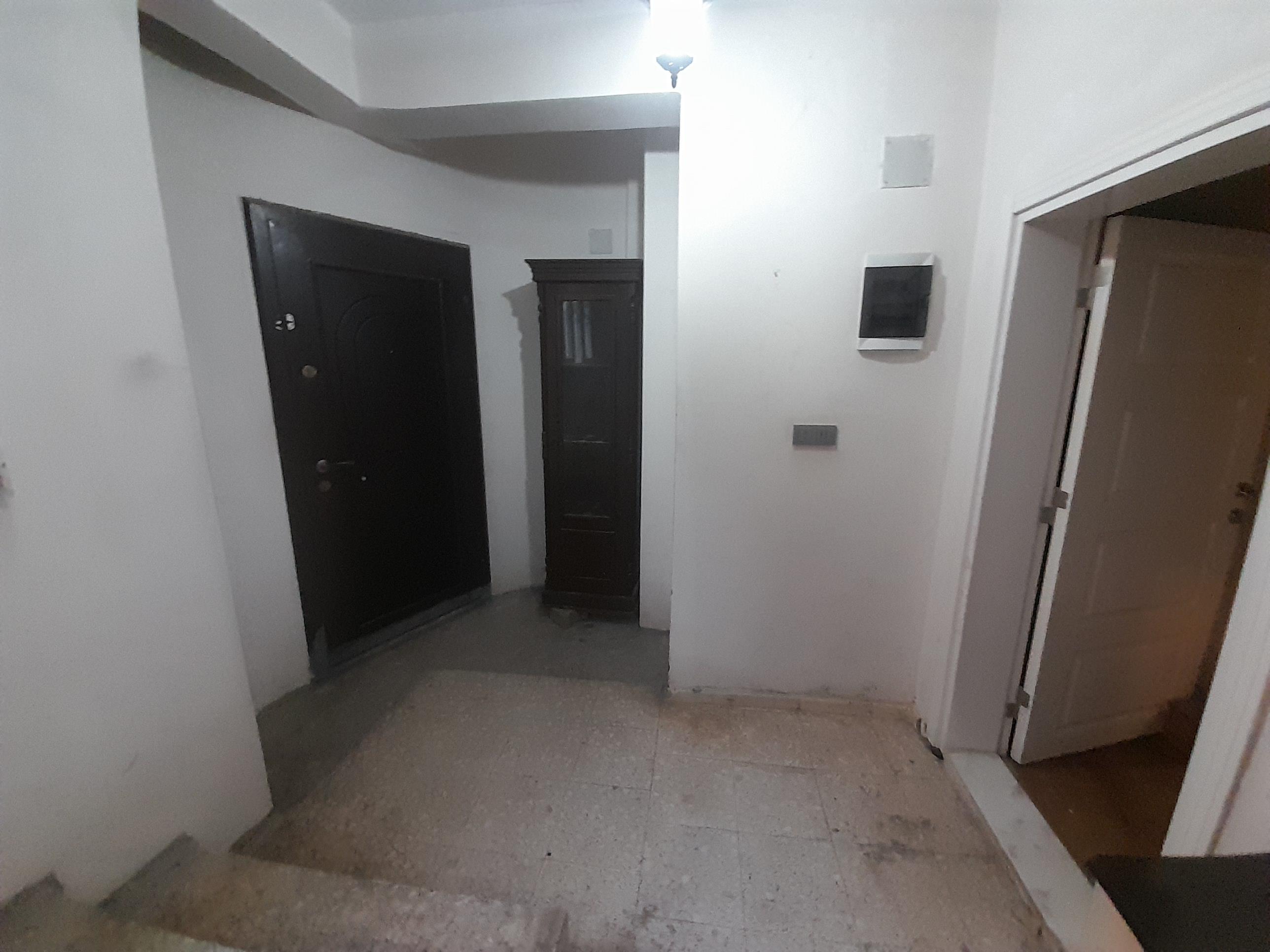 20250219 164306 (Copy)