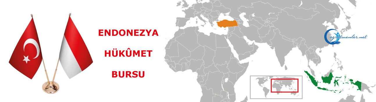 Endonezya Hükümet Bursu